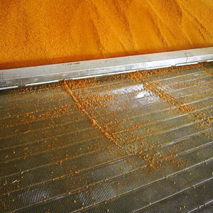 vis de ballais intégré. équipement agricole pour la manutention de grain.